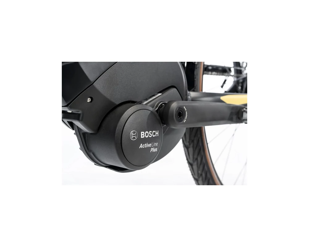 Gepida Bonum Edge Nexus 8 Coaster elektromos városi kerékpár