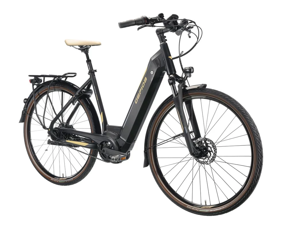 Gepida Bonum Edge Nexus 8 Coaster elektromos városi kerékpár