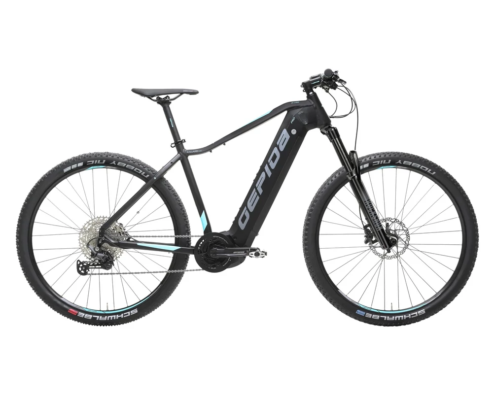 Gepida Asgard Pro XT 12 elektromos MTB kerékpár