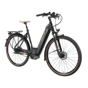 Gepida Bonum Edge Nexus 8 Coaster elektromos városi kerékpár